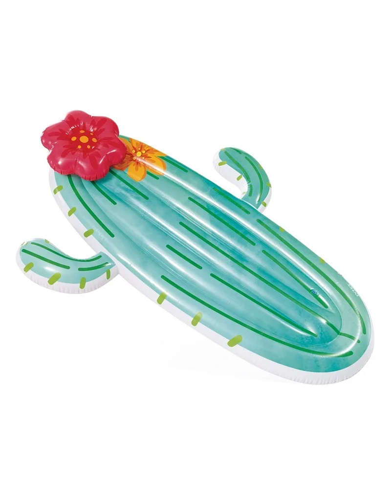 Intex Cactus Float 1 Stk Toys & Games Outdoor Play Equipment Water Beautycos