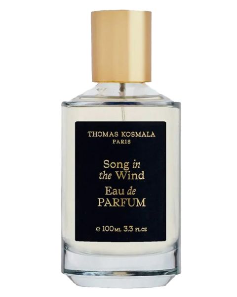 Thomas Kosmala Song In The Wind EDP