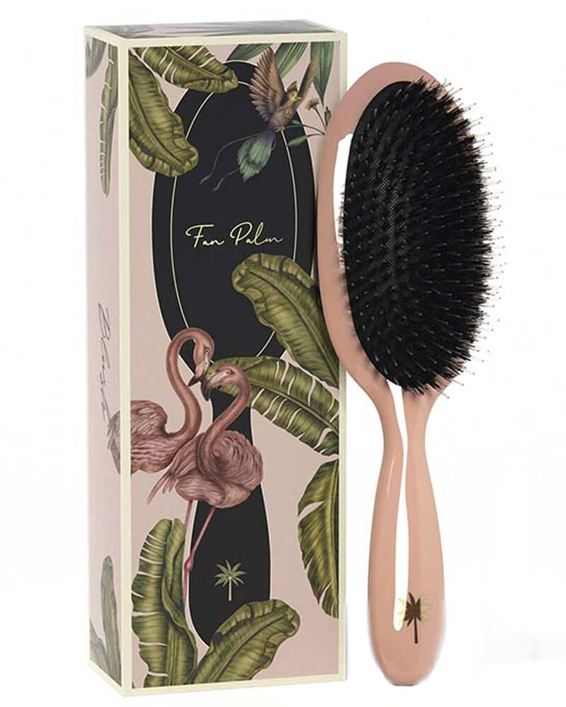 Fan Palm Hair Brush Medium Blush Health & Beauty Personal Care Styling Tools Combs Brushes Beautycos